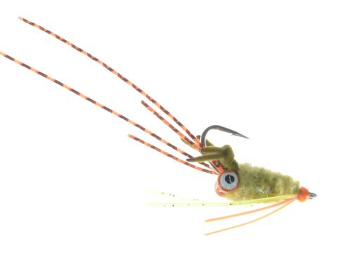 Hairy Mantis - Olive